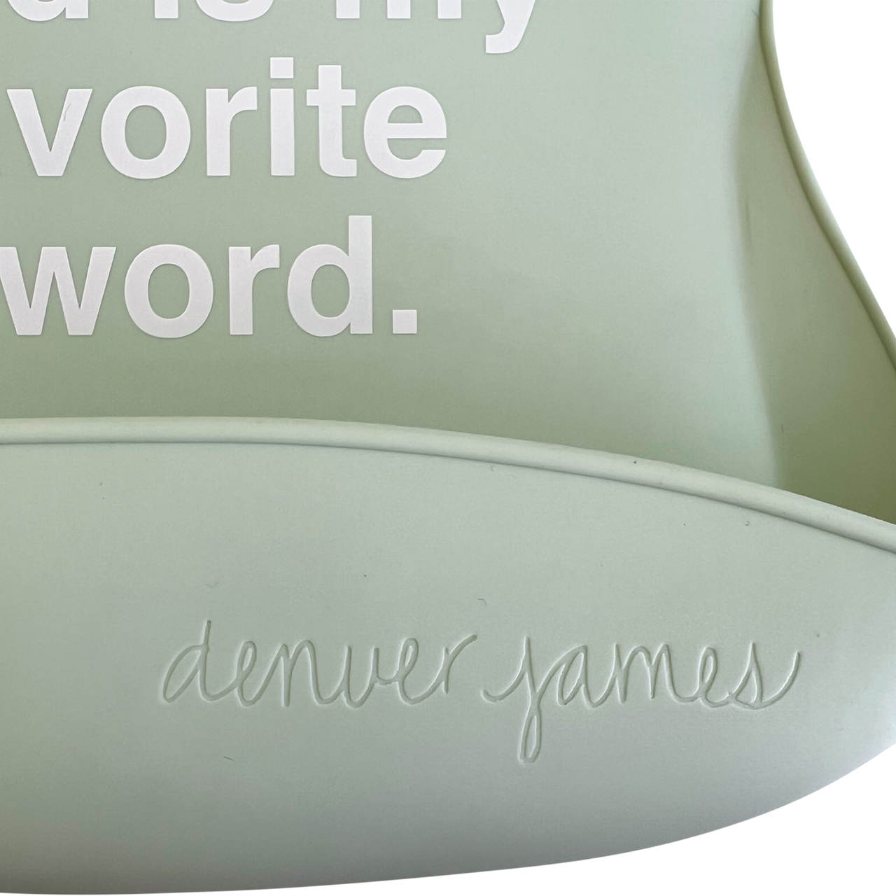 Silicone Bib - Favorite F Word